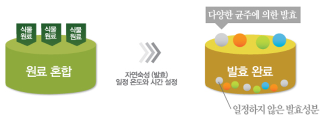 제주뷰티존 이미지